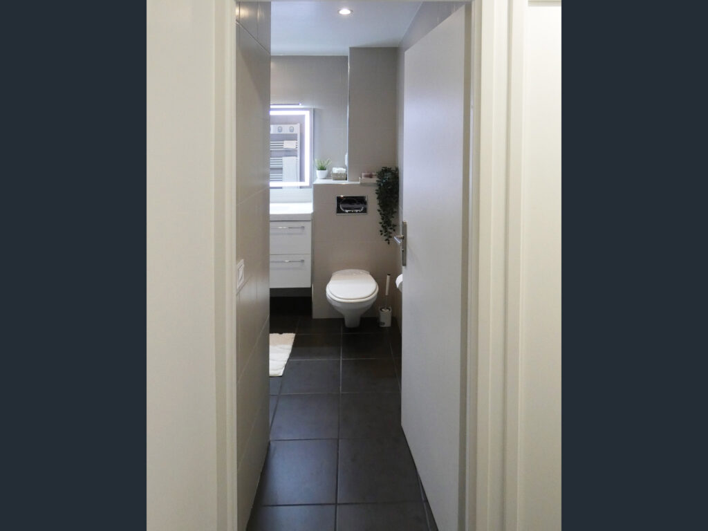 maison à vendre les Molières salle de bain dégagement entrée